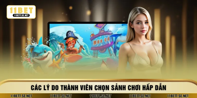 Các lý do thành viên chọn sảnh chơi hấp dẫn