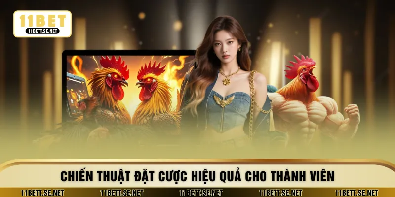 Chiến thuật đặt cược hiệu quả cho thành viên