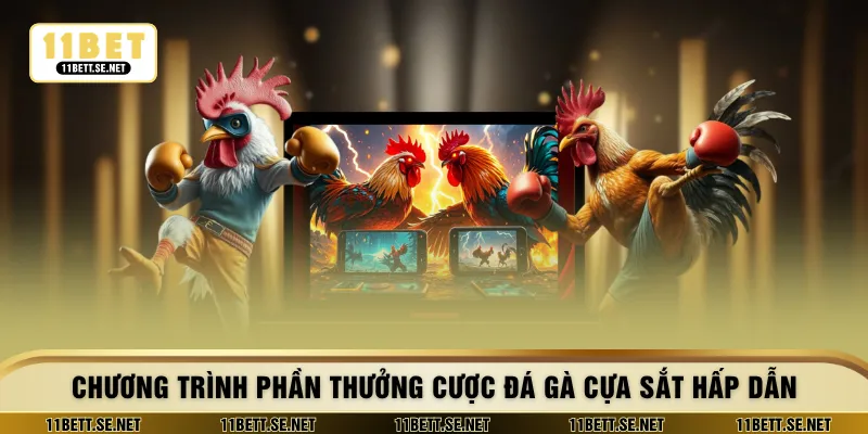 Chương trình phần thưởng cược đá gà cựa sắt hấp dẫn