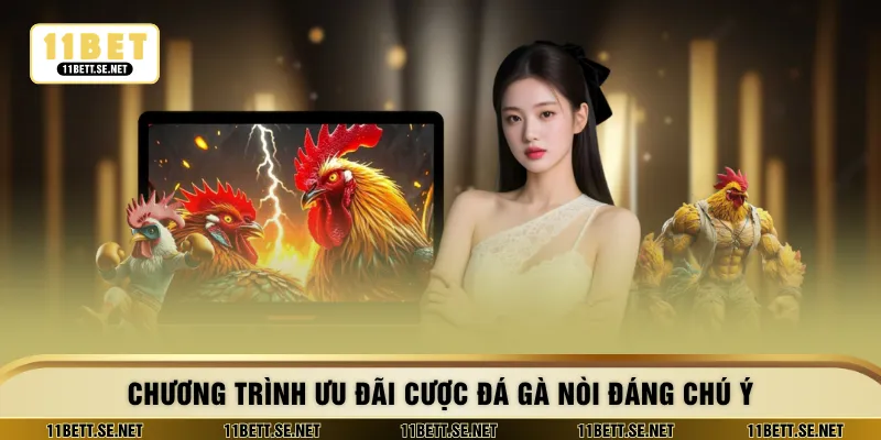 Chương trình ưu đãi cược đá gà nòi đáng chú ý