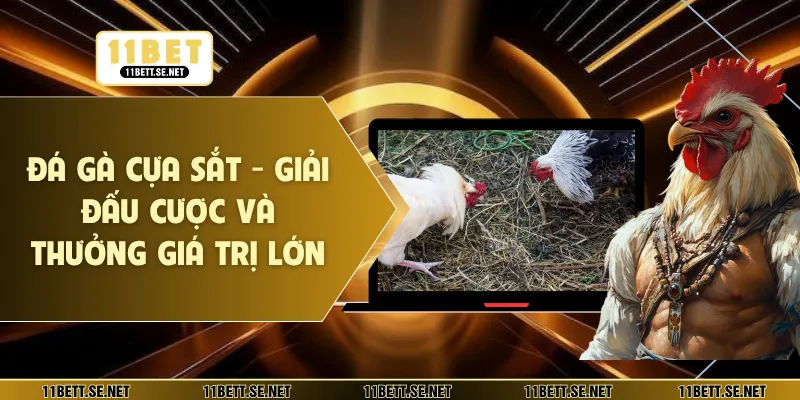 đá gà cựa sắt