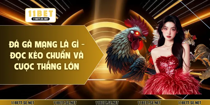 đá gà mạng là gì