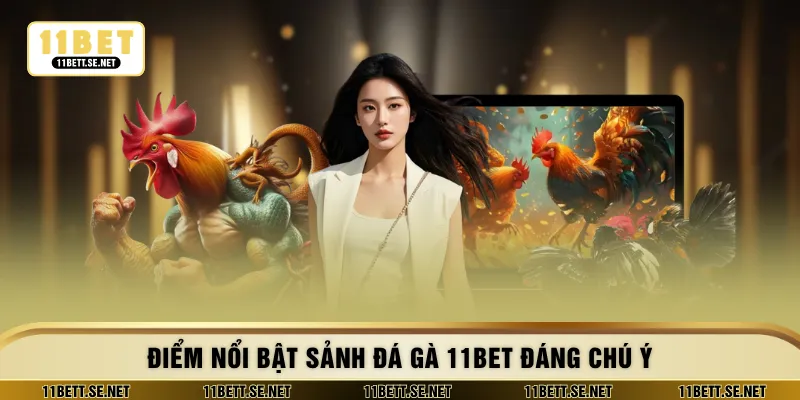 Điểm nổi bật sảnh đá gà 11BET đáng chú ý
