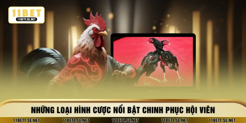 Những loại hình cược nổi bật chinh phục hội viên