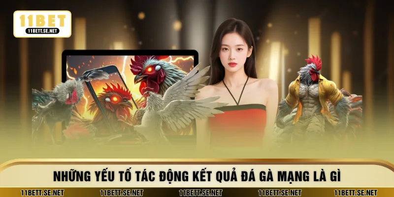 Những yếu tố tác động kết quả đá gà mạng là gì